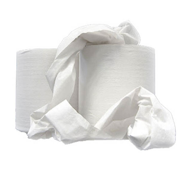 Paper Service Wipes 300 Mm X 210 Mm White Roll Each
